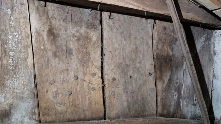 Restos de navio medieval são encontrados como teto de porão na Alemanha